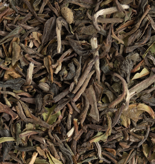 Darjeeling - First Flush - FTGFOP - Finest - Tea Traders