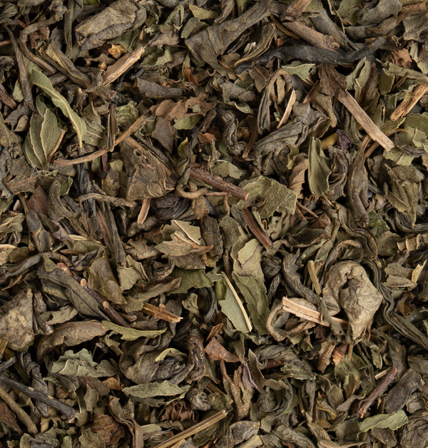 Moroccan Mint - Tea Traders
