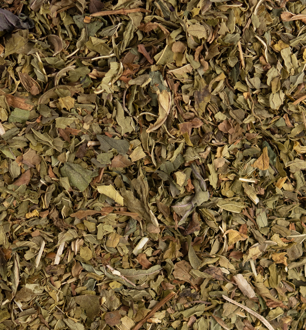 Mint - Spearmint Blend - Tea Traders