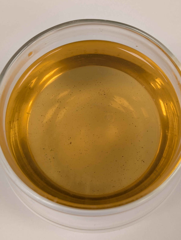 Jasmine Green Tea