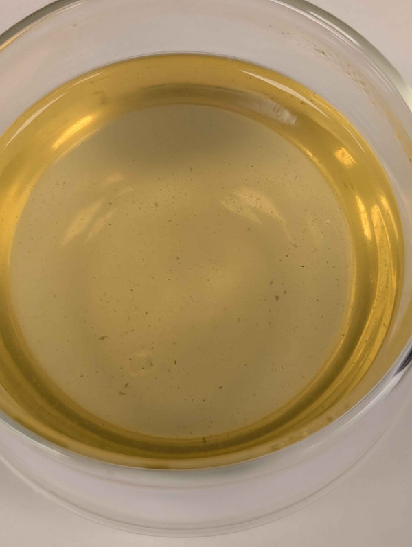 Sencha Satsuma