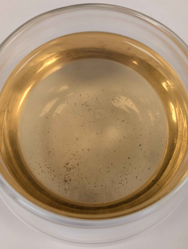 Silver Needles - Finest White Tea