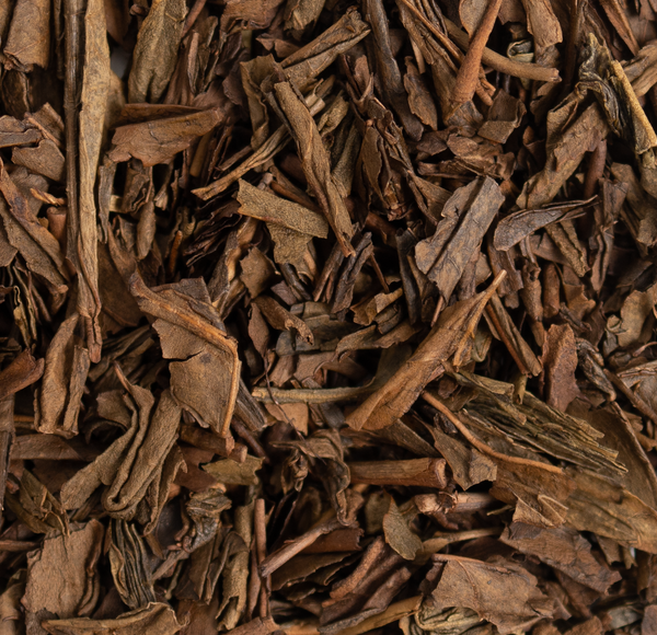 Hojicha Organic - Tea Traders