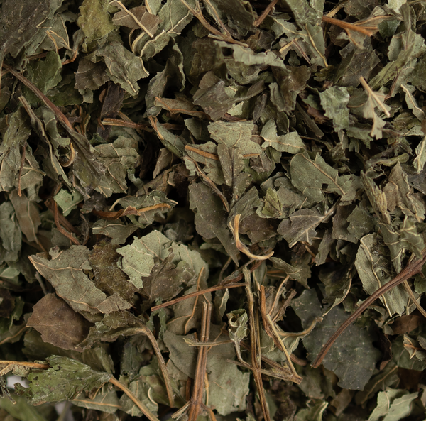 Lemon Balm Herbal Infusion
