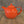 Forlife Curve Large Teapot with Infuser - 1330ml / 45oz