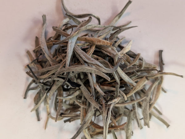 Silver Needles - Finest White Tea - Tea Traders