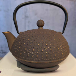 Anhui Cast Iron Teapot