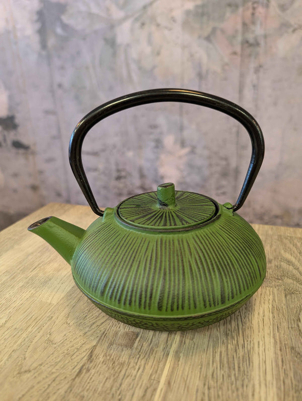 Cast Iron Kyoto Infuser Teapot 600ml