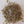 Linden - Lime Blossoms