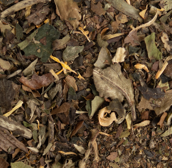 Pai Mu Tan - White Tea with Mango - Tea Traders