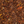 Rooibos Citrus - Red Bush Tea with Citrus