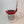 Forlife Bola - Glass Teapot - Removable Infuser