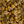 Chamomile - Organic