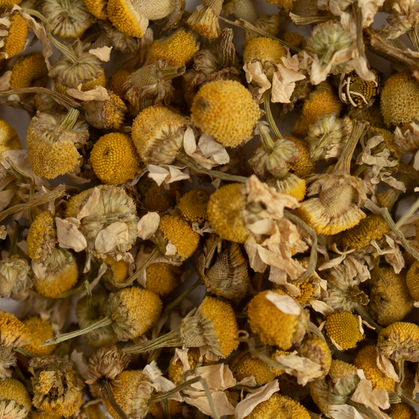 Chamomile - Organic