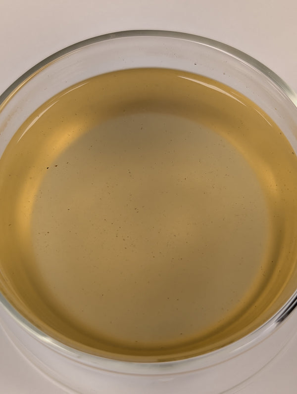 Sencha - Fruity Green Tea - Ginger & Orange