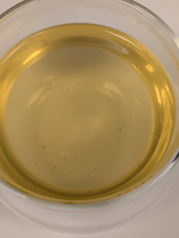 Sencha Satsuma