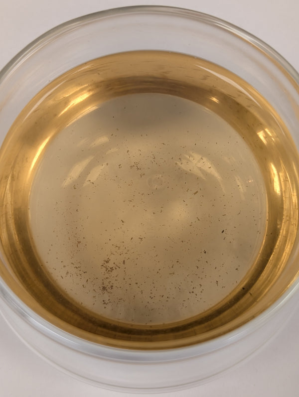 Silver Needles - Finest White Tea - Tea Traders